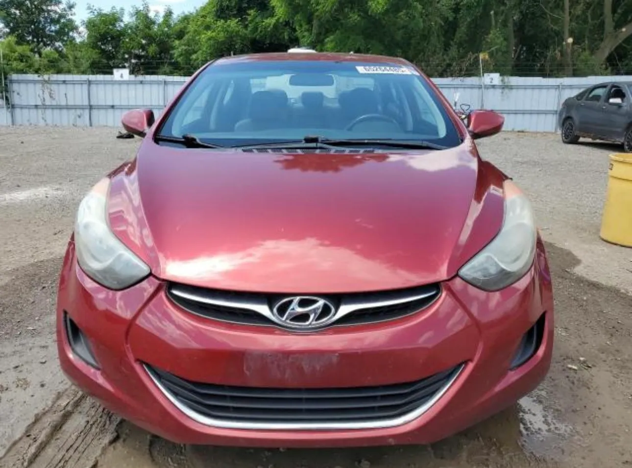 1775833728476-IMG_E3952