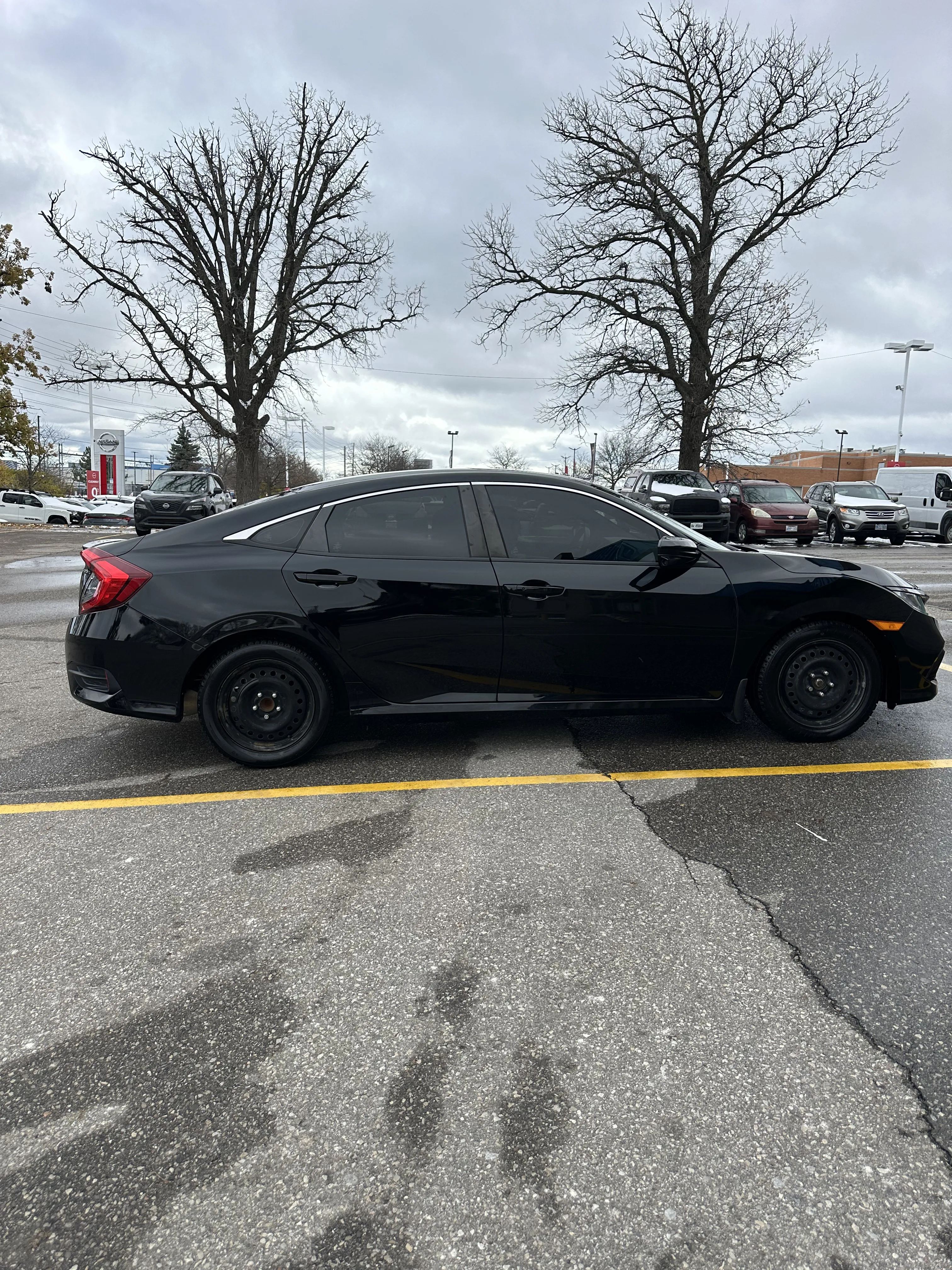 1776184350517-IMG_4598