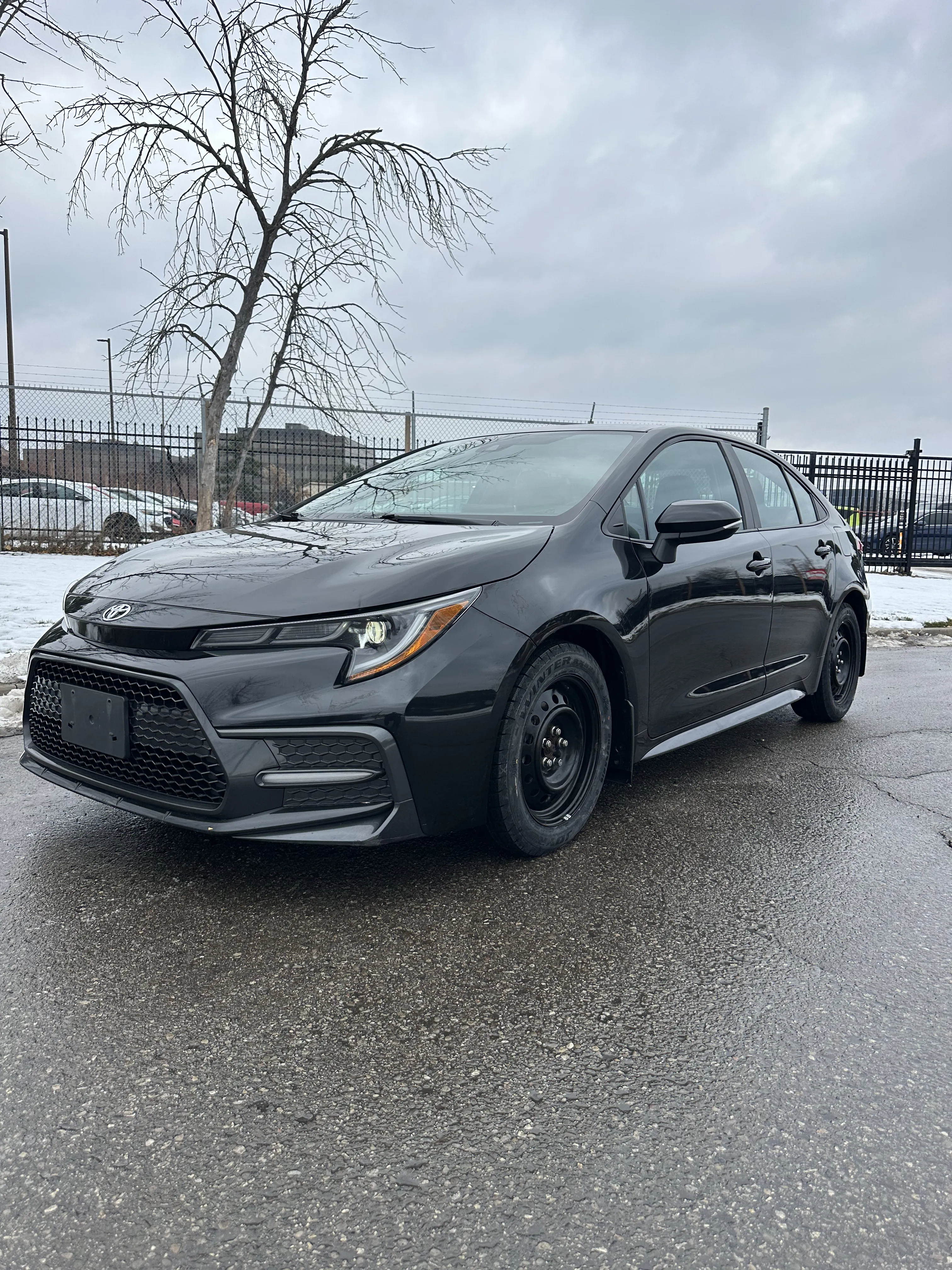 1776193009934-IMG_5611