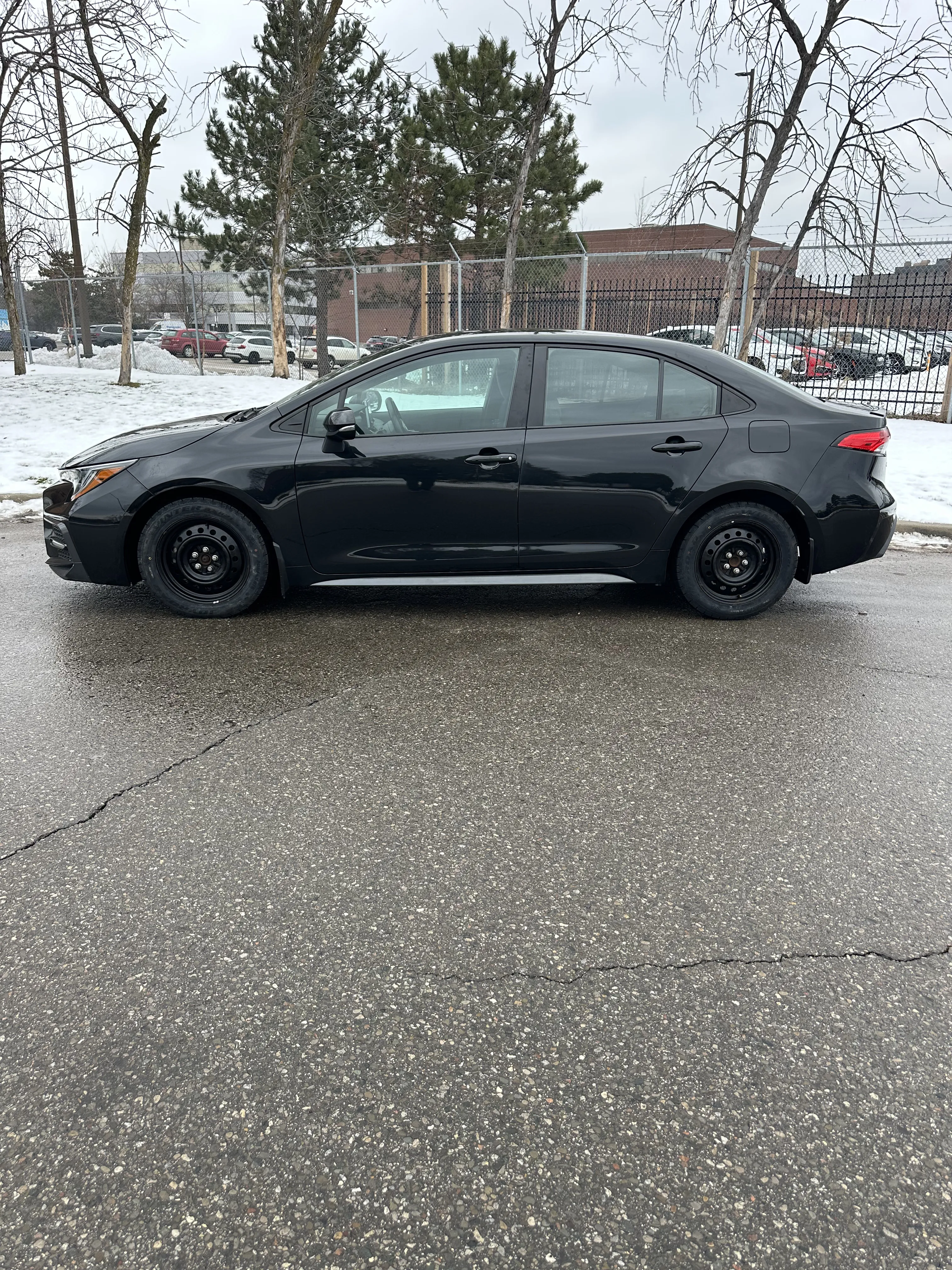 1776193017554-IMG_5616