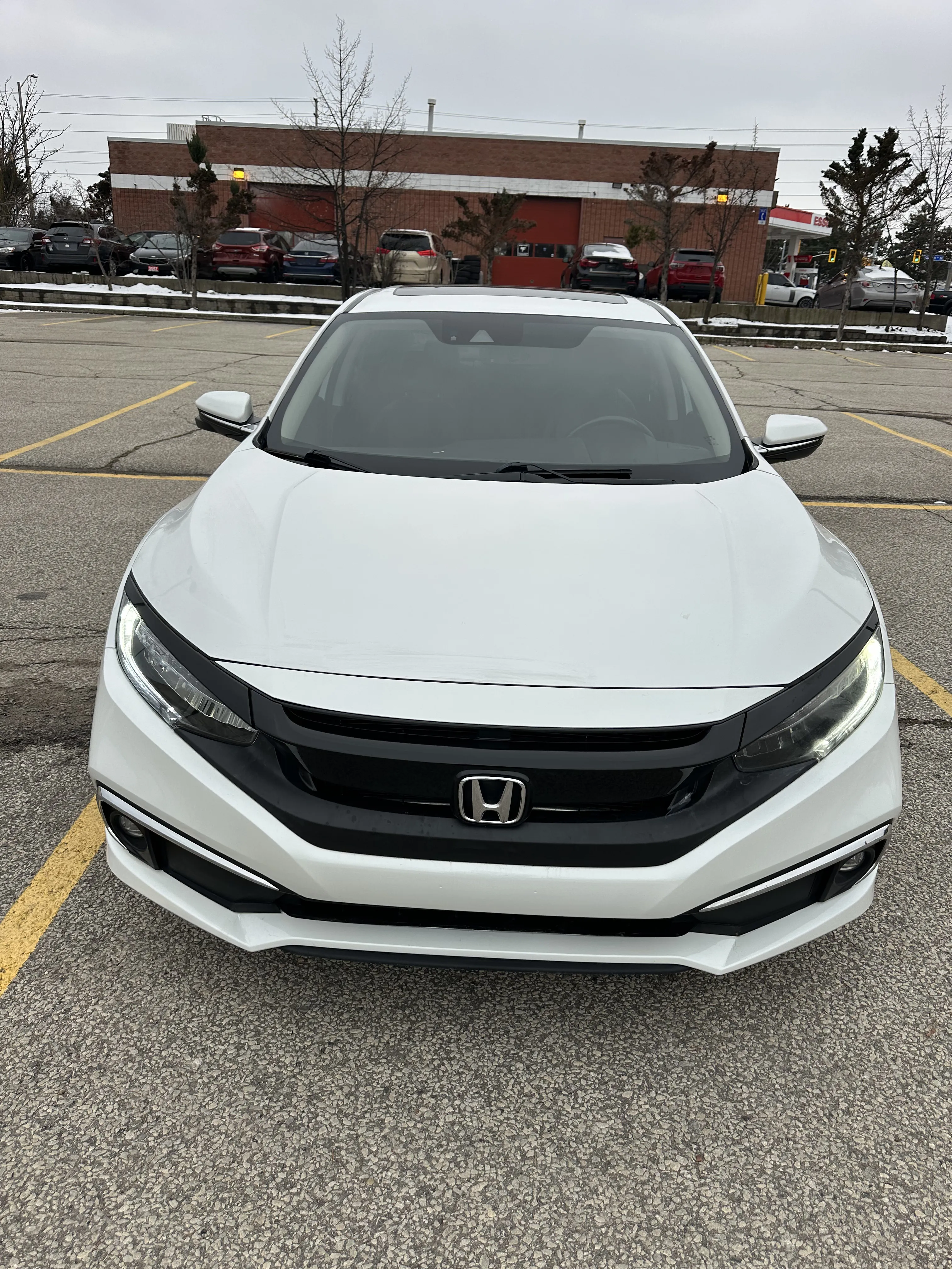 1776194551611-IMG_5229