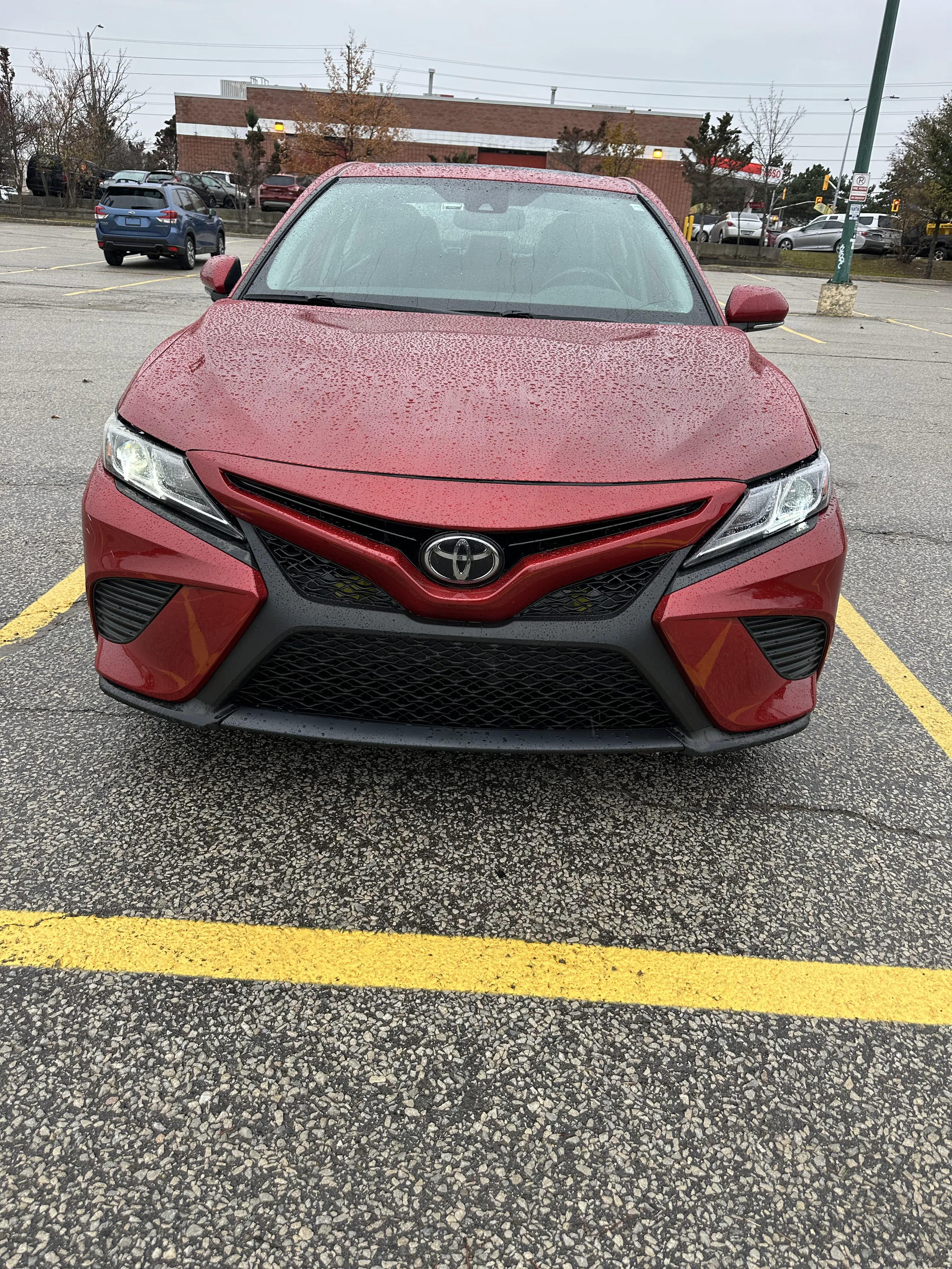 1776196126711-IMG_5003