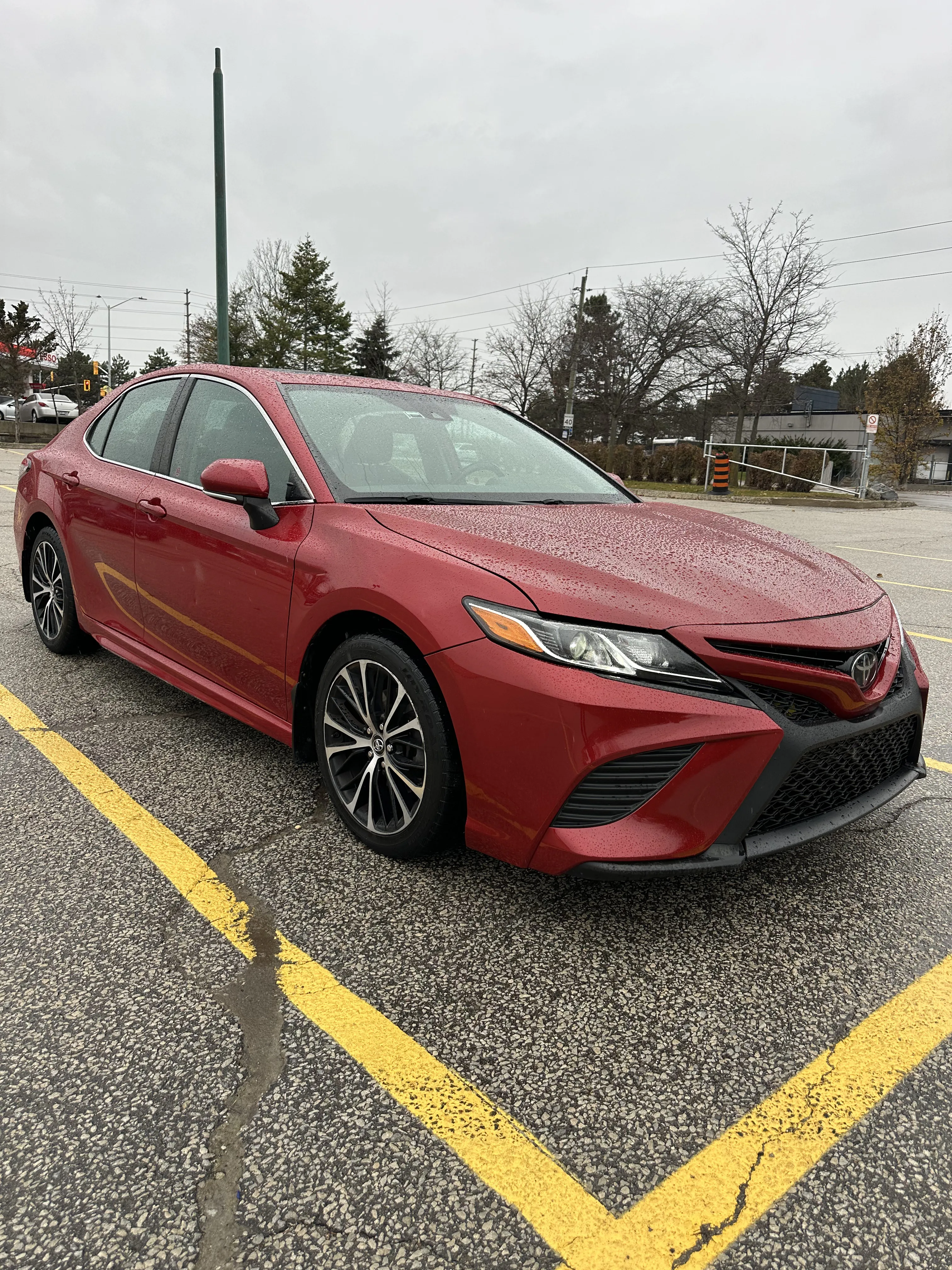 1776196131047-IMG_5004