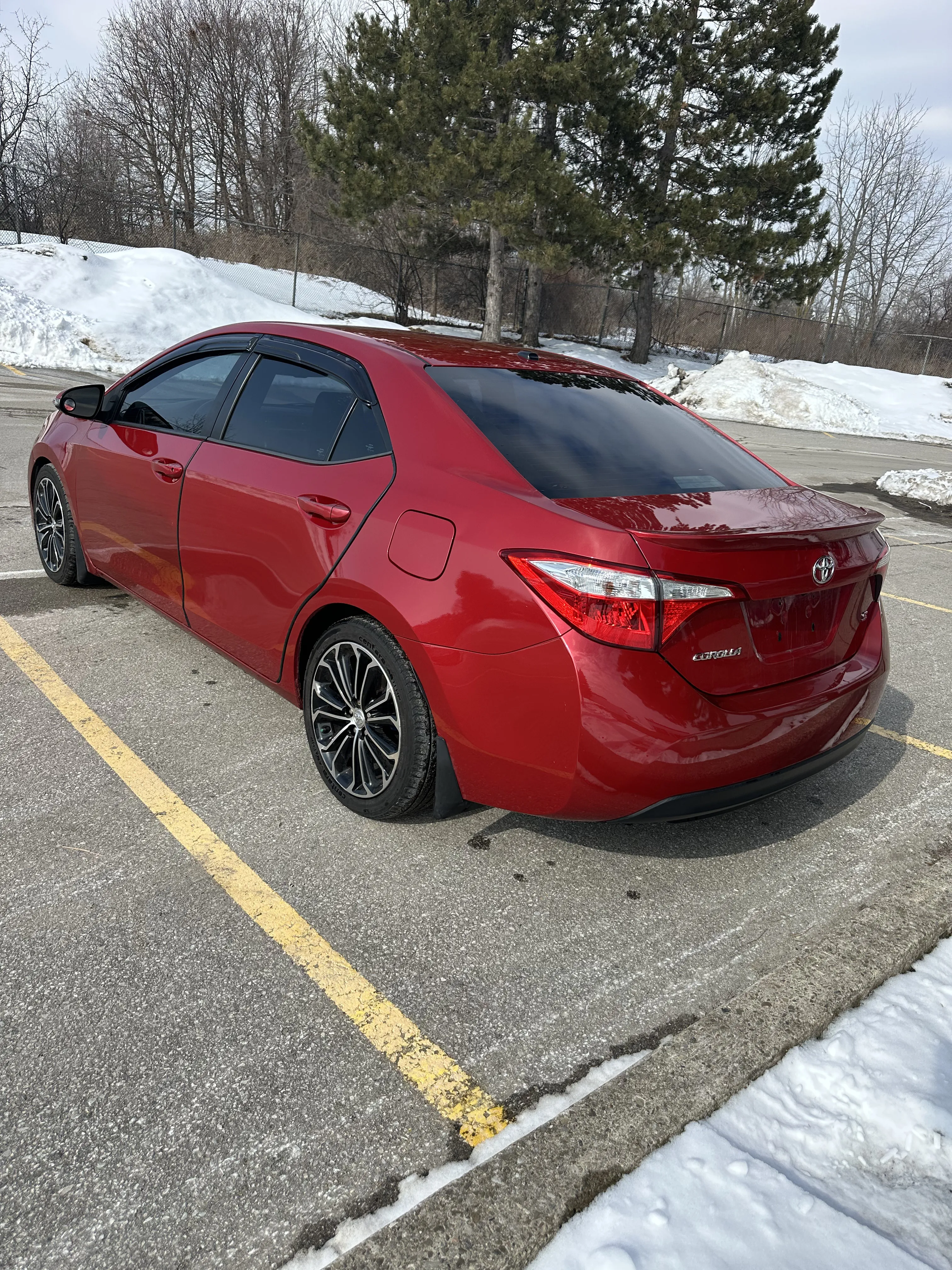 1776196680897-IMG_7379