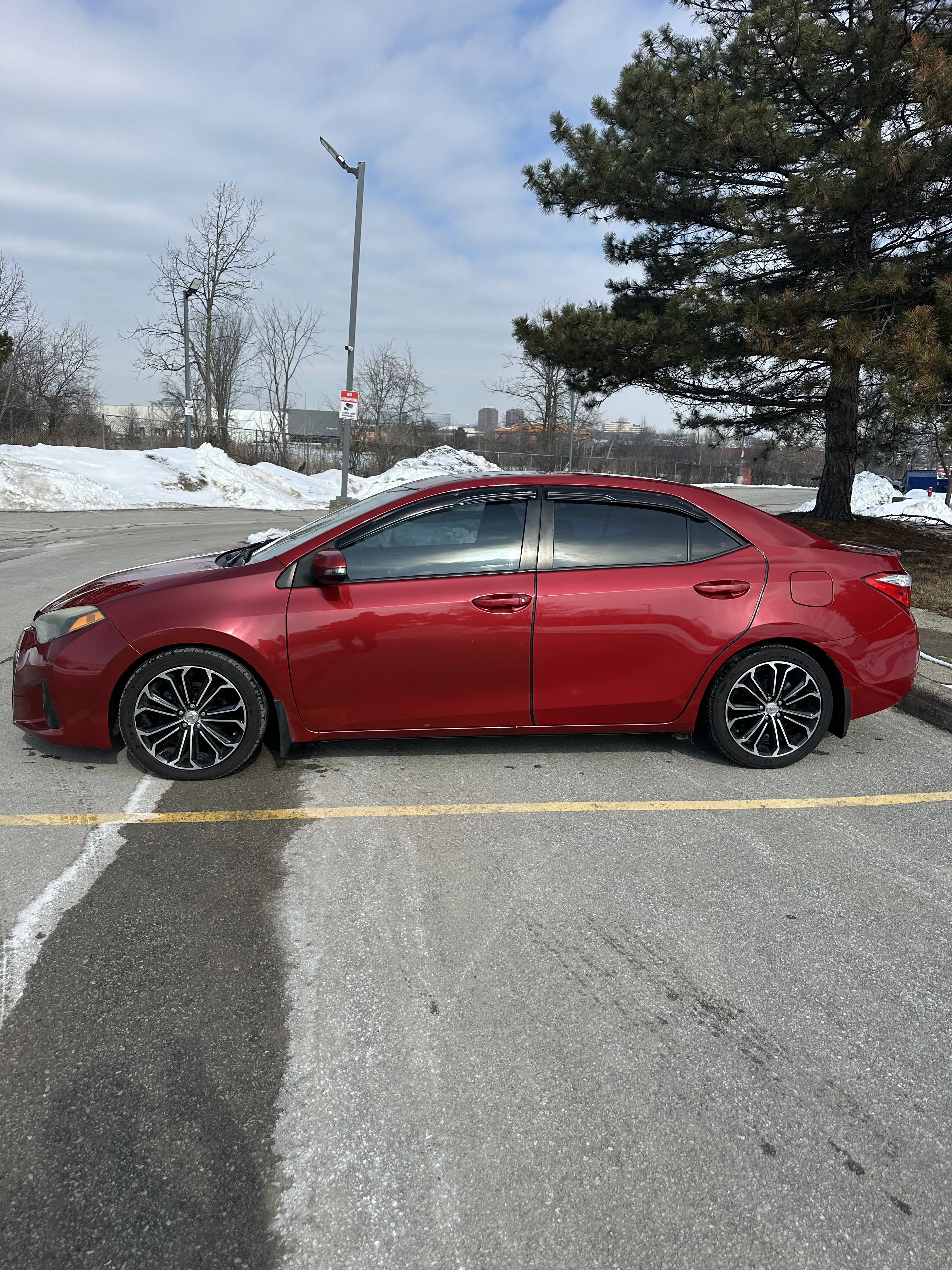 1776196688976-IMG_7387