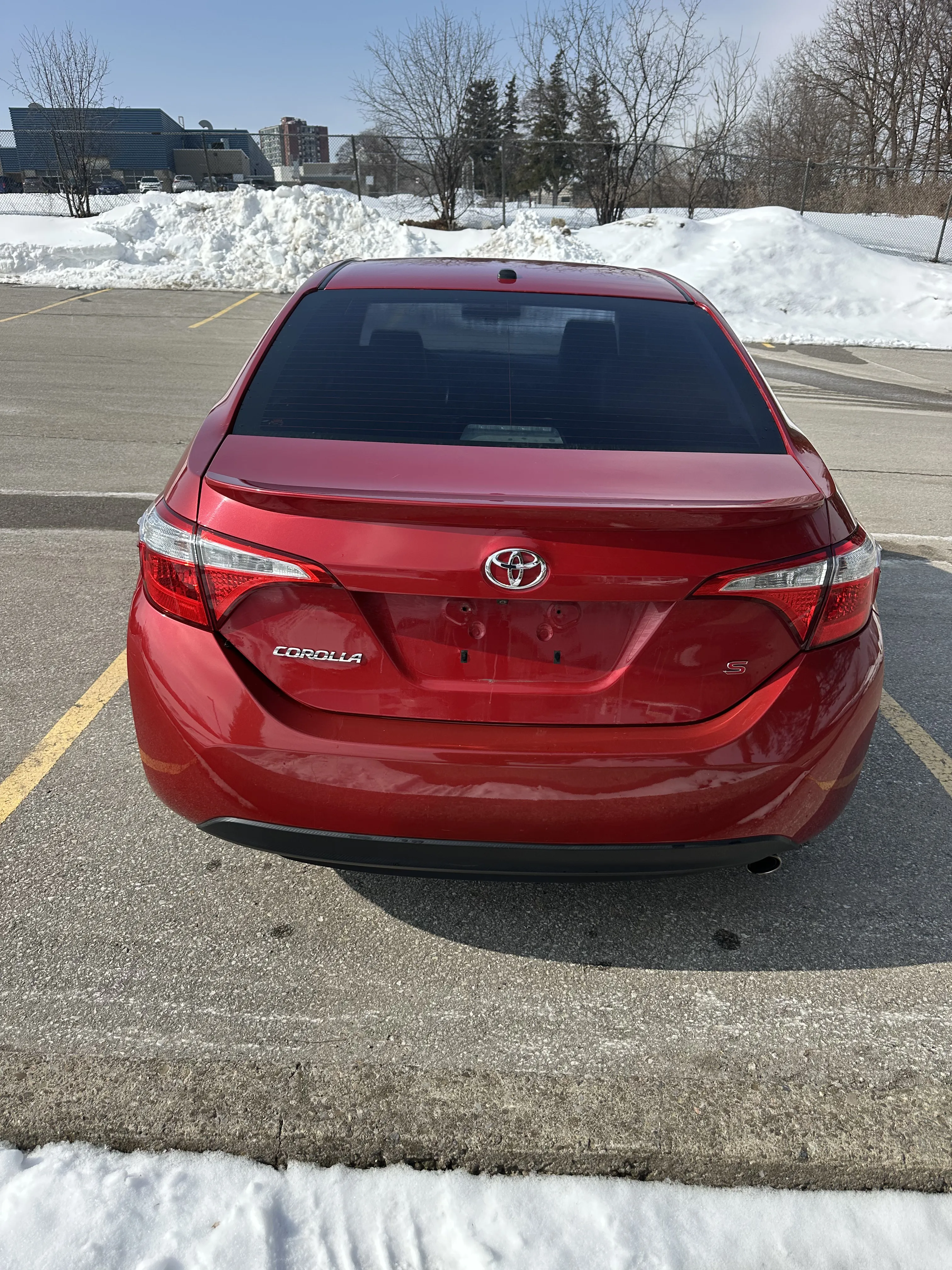 1776196692950-IMG_7394